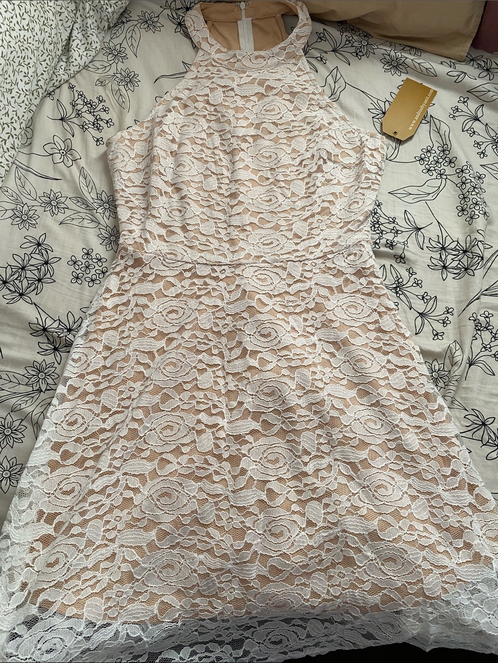 ANDREE BY UNIT Blush Pink Lace Halter Mini Dress